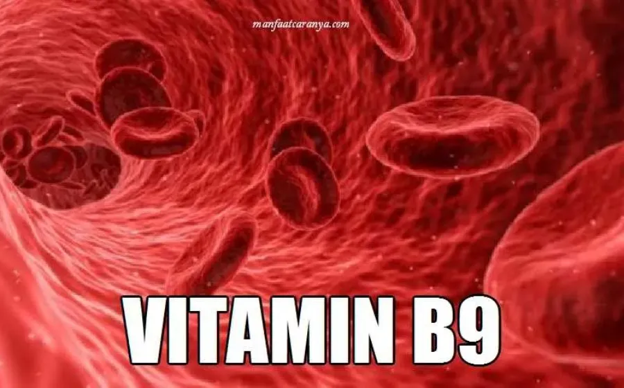 Manfaat Vitamin B9 Asam Folat untuk Anemia