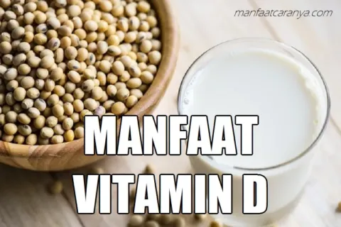 Manfaat Vitamin D dan Fungsinya