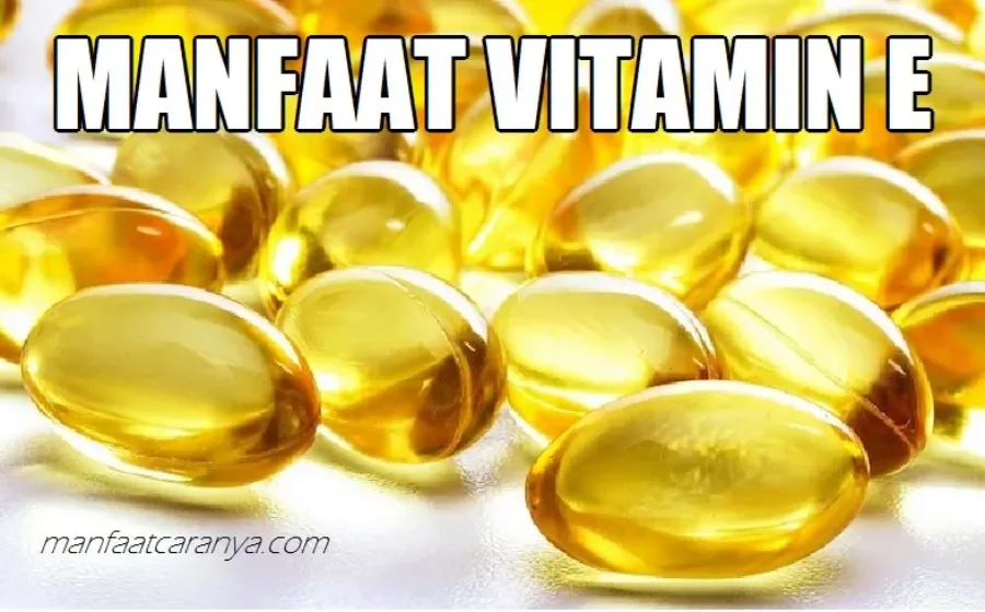 Manfaat Vitamin E dan Contoh Asupannya