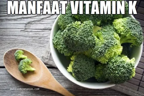 Manfaat Vitamin K untuk Tubuh dan Contoh Asupannya