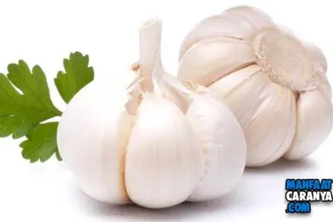 13 Bahaya Konsumsi Bawang Putih Mentah