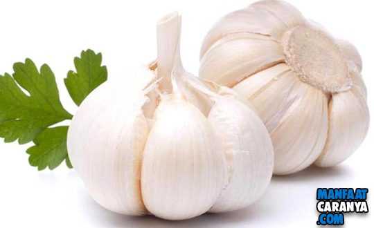 13 Bahaya Konsumsi Bawang Putih Mentah