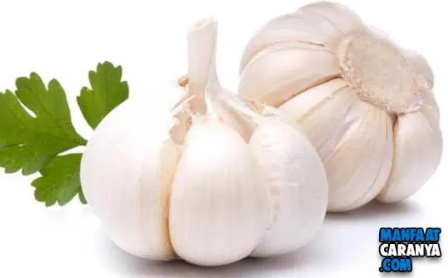 13 Bahaya Konsumsi Bawang Putih Mentah