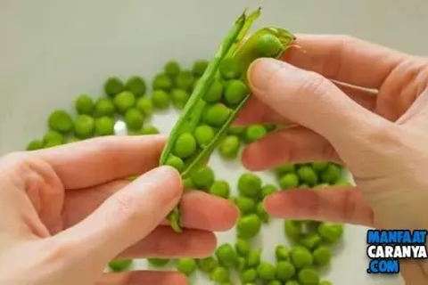 21 Daftar Makanan Yang Wajib Dikonsumsi Untuk Memperbanyak Produksi ASI