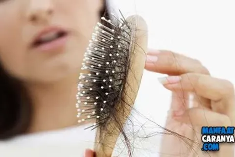 4 Cara Alami Atasi Rambut Rapuh Cepat dan Mudah