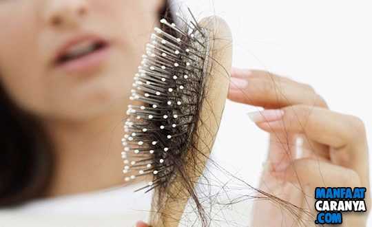 4 Cara Alami Atasi Rambut Rapuh Cepat dan Mudah