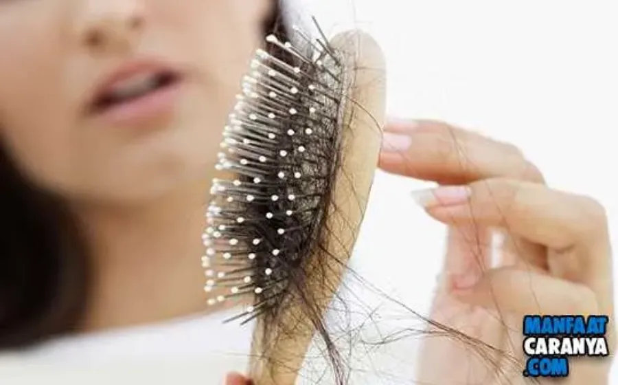 4 Cara Alami Atasi Rambut Rapuh Cepat dan Mudah
