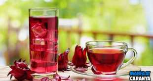 5 Manfaat Bunga Rosella Untuk Kesehatan