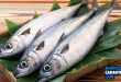 5 Manfaat Ikan Tongkol Mampu Menjaga Kesehatan Mata dan Ejakulasi Dini
