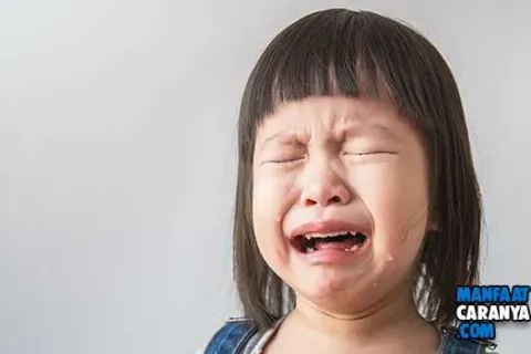 5 Tips Agar Anak Kebal Di Bully Di Manapun Dia Berada