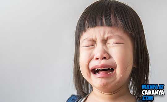 5 Tips Agar Anak Kebal Di Bully Di Manapun Dia Berada