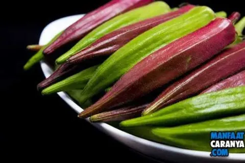 9 Manfaat Okra Merah Yang Mengejutkan