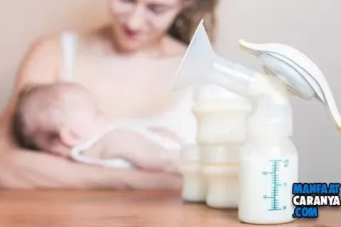 Cara Memompa ASI Agar Hasil Melimpah