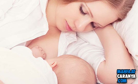 Cara Menyusui Bayi Yang Baik dan Benar