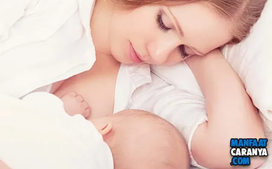 Cara Menyusui Bayi Yang Baik dan Benar