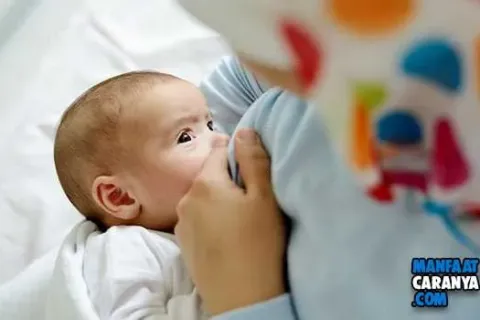 Cara memilih Bra Menyusui Yang Aman dan Nyaman