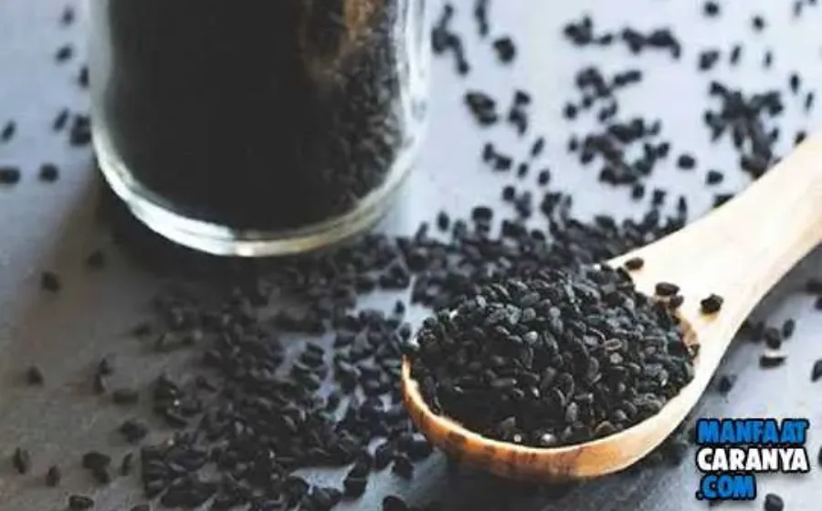Manfaat Jinten Hitam Mampu Dengan Cepat Menurunkan Berat Badan
