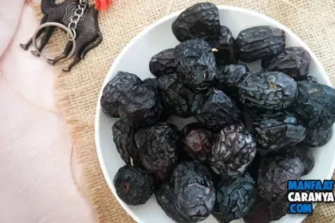 10 Manfaat Buah Kurma Ajwa Yang Begitu Menakjubkan