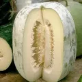 17 Manfaat Buah Bligo(Kundur) Untuk Kesehatan Dan Kecantikan