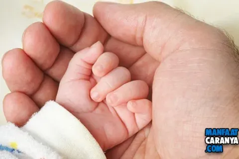 2 Penyebab Janin Cacat Dalam Kandungan, Ketahui Sedini Mungkin Sebelum Terlambat