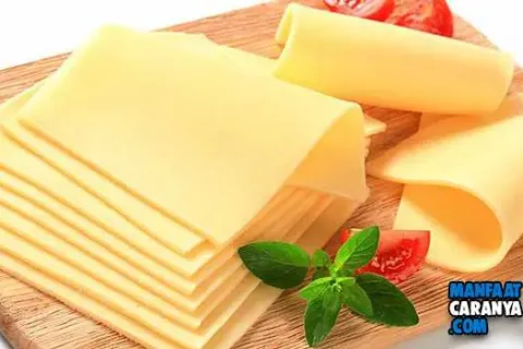 5 Manfaat Keju Untuk Bayi Dimasa Perkembangan