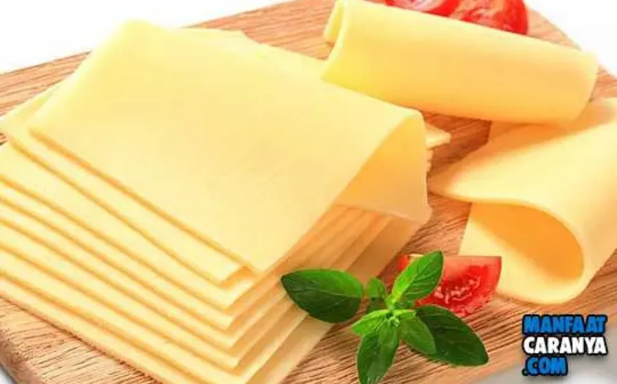 5 Manfaat Keju Untuk Bayi Dimasa Perkembangan