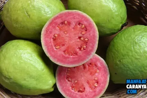 8 Makanan Penambah Darah Paling Ampuh Untuk Penderita Anemia