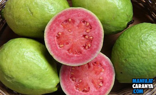 8 Makanan Penambah Darah Paling Ampuh Untuk Penderita Anemia