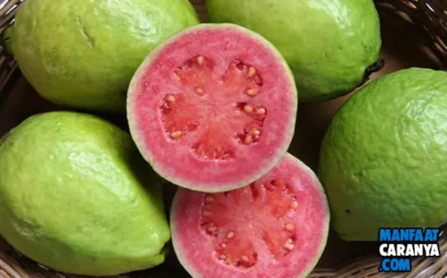 8 Makanan Penambah Darah Paling Ampuh Untuk Penderita Anemia