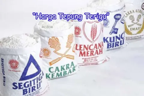Macam Harga Tepung Terigu