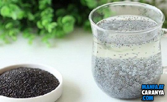 Manfaat Biji Selasih Untuk Kesehatan dan Kecantikan