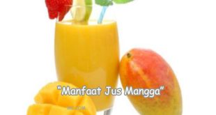Manfaat Buah Mangga Bagi Kesehatan
