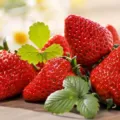 Manfaat Buah Strawberry Untuk Kesehatan Serta Kecantikan Wajah