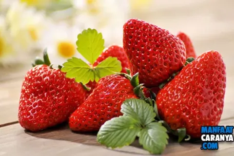 Manfaat Buah Strawberry Untuk Kesehatan Serta Kecantikan Wajah