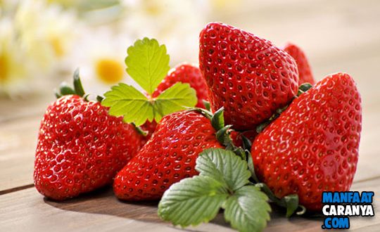 Manfaat Buah Strawberry Untuk Kesehatan Serta Kecantikan Wajah