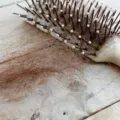 Rambut Rontok Dan Cara Mengatasinya