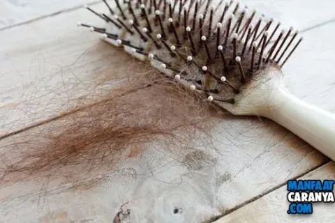 Rambut Rontok Dan Cara Mengatasinya