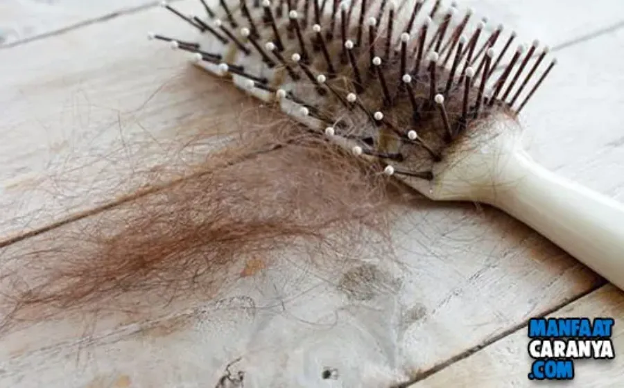 Rambut Rontok Dan Cara Mengatasinya