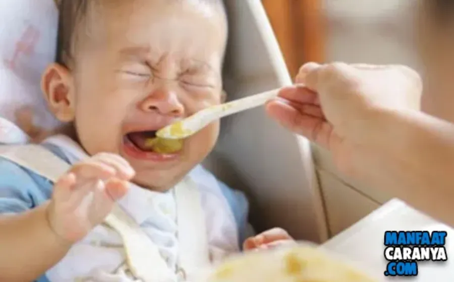 Tips Jitu Mengatasi Bayi Susah Makan