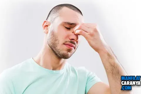 Tips Melawan Sinusitis Yang Mengganggu