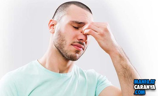 Tips Melawan Sinusitis Yang Mengganggu