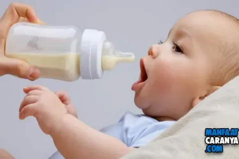 Tips Memilih Susu Formula Untuk Bayi