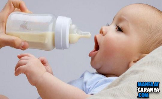 Tips Memilih Susu Formula Untuk Bayi