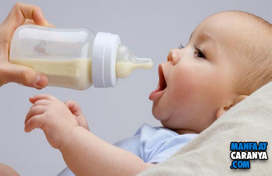 Tips Memilih Susu Formula Untuk Bayi