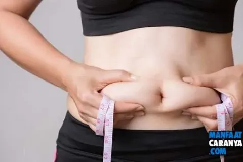 Tips Mengecilkan Perut Tanpa Olah Raga