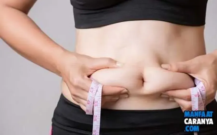 Tips Mengecilkan Perut Tanpa Olah Raga
