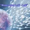 Illustration of sperm and egg cell. 3D illustration