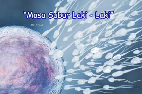 Illustration of sperm and egg cell. 3D illustration