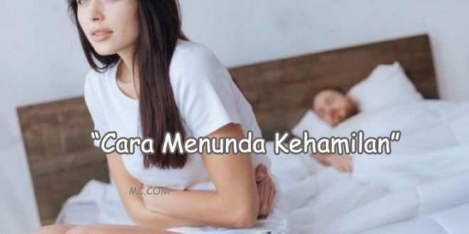 Cara Menunda Kehamilan