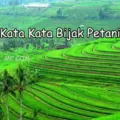 Kata Kata Bijak Petani